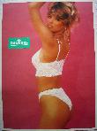 Werbeplakat: Palmers 1991 Frühjahr - 2 (Palmers) - 1991 - mge-shop