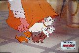 Aushangfoto: Aristocats - 1970 - mge-shop